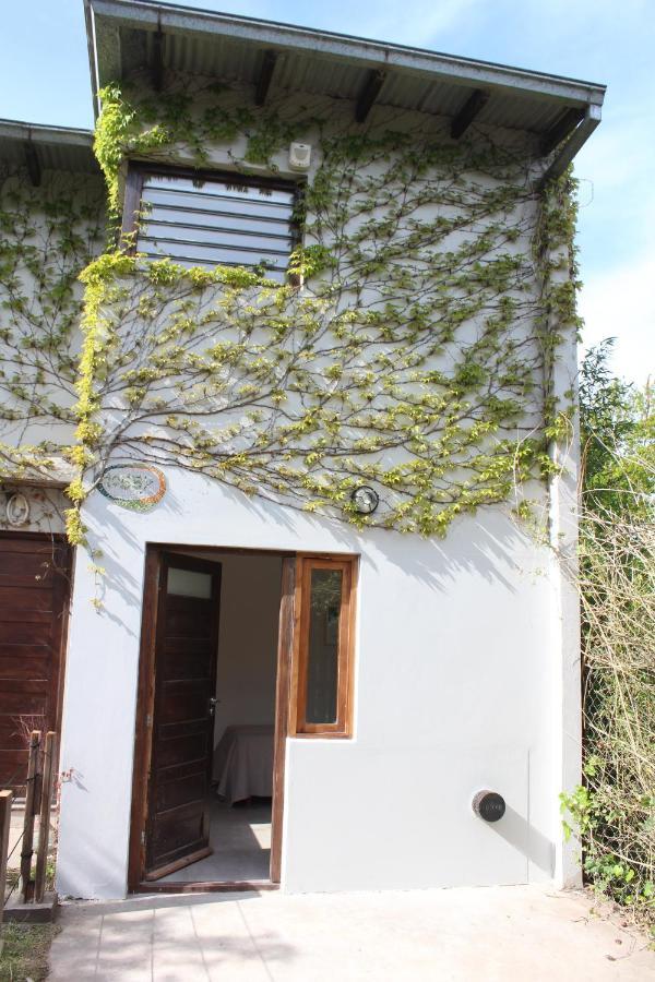 Casita Moderna Frente Al Bosque Daire Mar del Plata Dış mekan fotoğraf